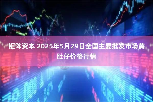 钜阵资本 2025年5月29日全国主要批发市场黄肚仔价格行情