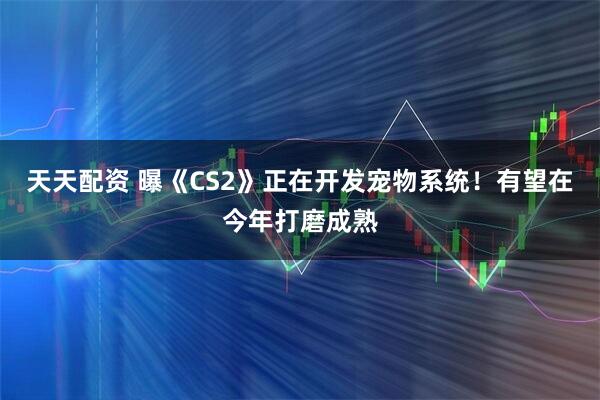 天天配资 曝《CS2》正在开发宠物系统！有望在今年打磨成熟