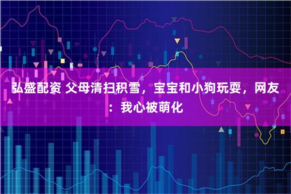 弘盛配资 父母清扫积雪，宝宝和小狗玩耍，网友：我心被萌化