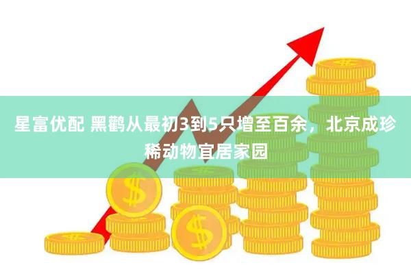星富优配 黑鹳从最初3到5只增至百余，北京成珍稀动物宜居家园